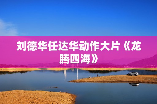 刘德华任达华动作大片《龙腾四海》