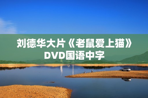刘德华大片《老鼠爱上猫》DVD国语中字 刘德华大片《老鼠爱上猫》DVD国语中字