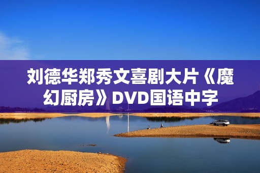 刘德华郑秀文喜剧大片《魔幻厨房》DVD国语中字