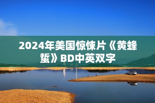 2024年美国惊悚片《黄蜂蜇》BD中英双字