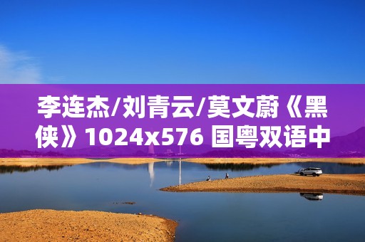李连杰/刘青云/莫文蔚《黑侠》1024x576 国粤双语中字