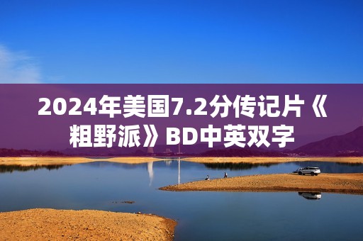 2024年美国7.2分传记片《粗野派》BD中英双字