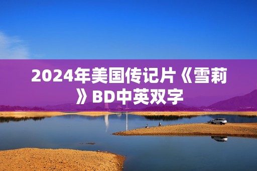 2024年美国传记片《雪莉》BD中英双字