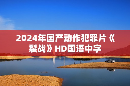 2024年国产动作犯罪片《裂战》HD国语中字