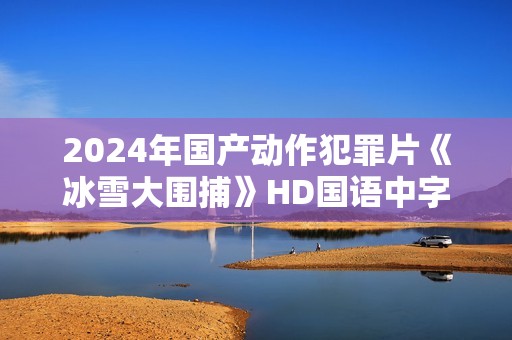 2024年国产动作犯罪片《冰雪大围捕》HD国语中字