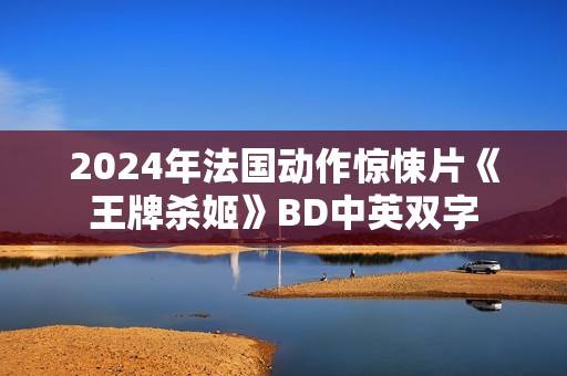 2024年法国动作惊悚片《王牌杀姬》BD中英双字