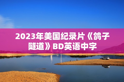 2023年美国纪录片《鸽子隧道》BD英语中字