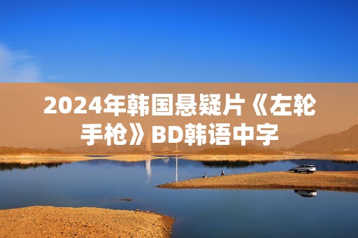 2024年韩国悬疑片《左轮手枪》BD韩语中字