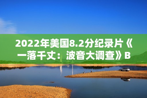 2022年美国8.2分纪录片《一落千丈：波音大调查》BD中英双字