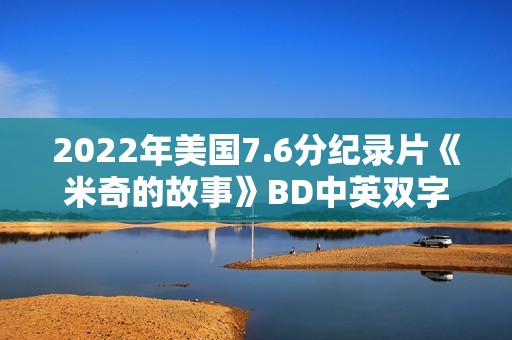 2022年美国7.6分纪录片《米奇的故事》BD中英双字