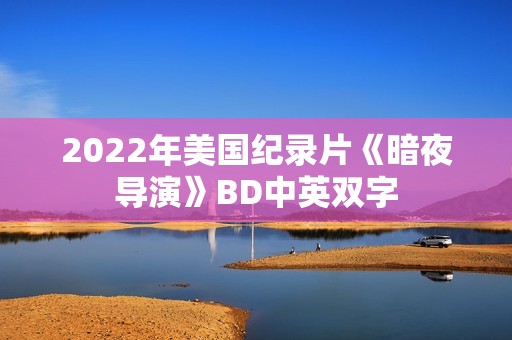 2022年美国纪录片《暗夜导演》BD中英双字