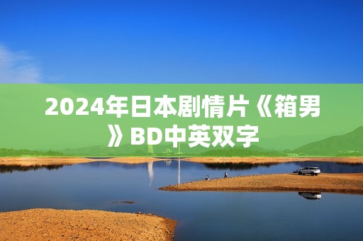 2024年日本剧情片《箱男》BD中英双字