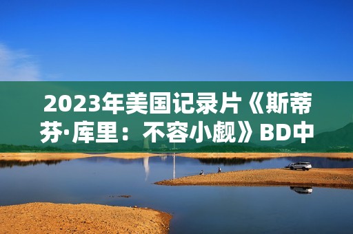 2023年美国记录片《斯蒂芬·库里：不容小觑》BD中英双字