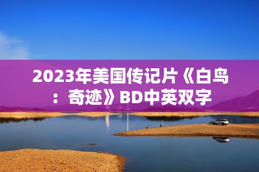 2023年美国传记片《白鸟：奇迹》BD中英双字