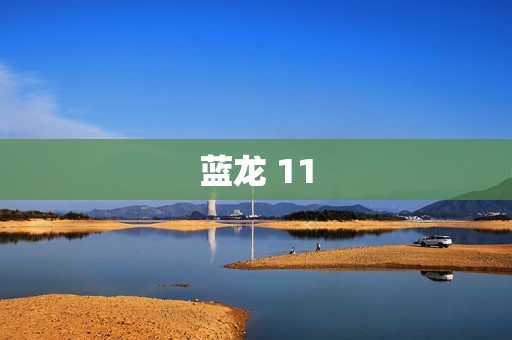 蓝龙 11