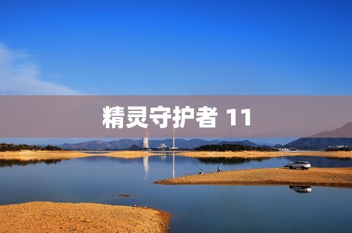 精灵守护者 11