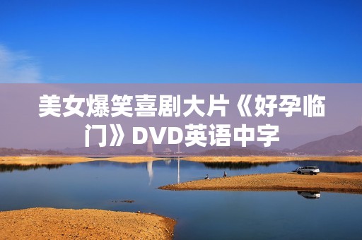 美女爆笑喜剧大片《好孕临门》DVD英语中字