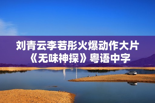 刘青云李若彤火爆动作大片《无味神探》粤语中字