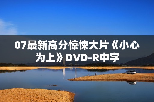 07最新高分惊悚大片《小心为上》DVD-R中字