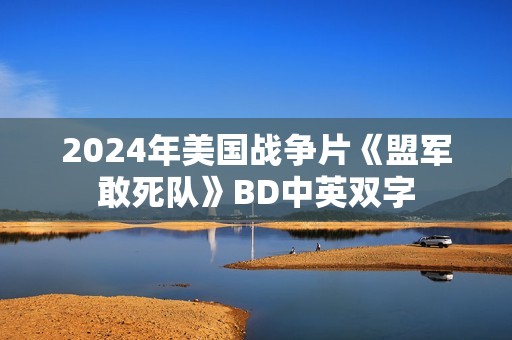 2024年美国战争片《盟军敢死队》BD中英双字