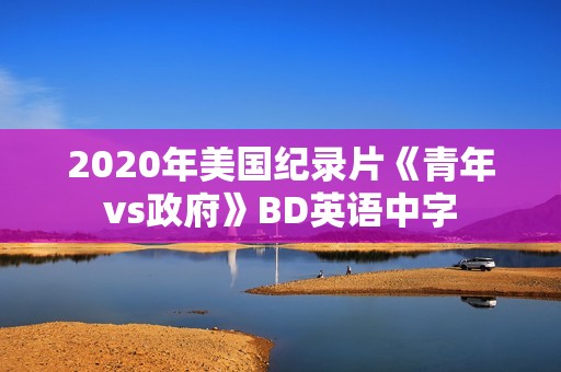 2020年美国纪录片《青年vs政府》BD英语中字