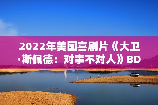2022年美国喜剧片《大卫·斯佩德：对事不对人》BD英语中字