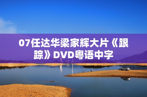 07任达华梁家辉大片《跟踪》DVD粤语中字