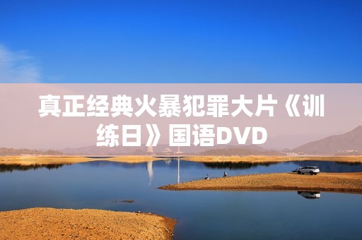 真正经典火暴犯罪大片《训练日》国语DVD