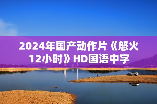 2024年国产动作片《怒火12小时》HD国语中字