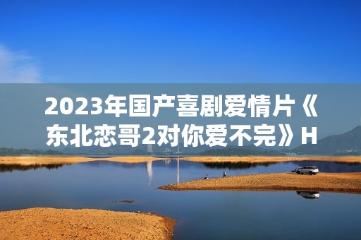 2023年国产喜剧爱情片《东北恋哥2对你爱不完》HD国语中字