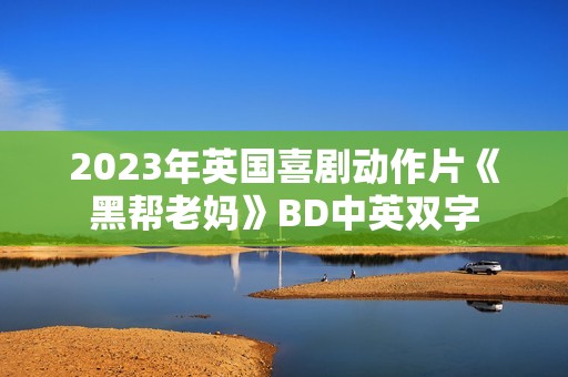 2023年英国喜剧动作片《黑帮老妈》BD中英双字