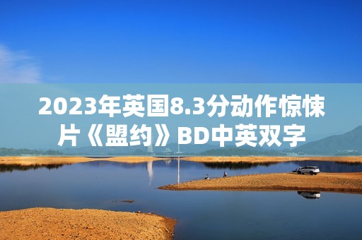 2023年英国8.3分动作惊悚片《盟约》BD中英双字