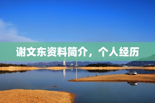 谢文东资料简介，个人经历