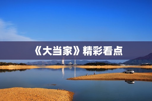 《大当家》精彩看点