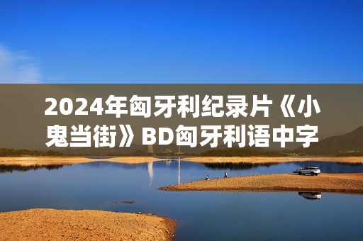 2024年匈牙利纪录片《小鬼当街》BD匈牙利语中字
