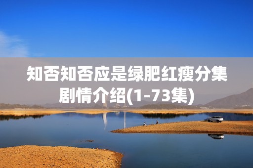 知否知否应是绿肥红瘦分集剧情介绍(1-73集)