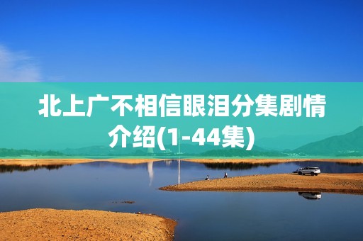 北上广不相信眼泪分集剧情介绍(1-44集)
