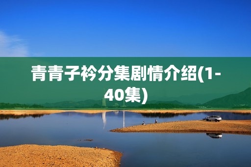 青青子衿分集剧情介绍(1-40集)