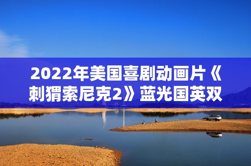 2022年美国喜剧动画片《刺猬索尼克2》蓝光国英双语中英双字