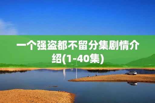 一个强盗都不留分集剧情介绍(1-40集)