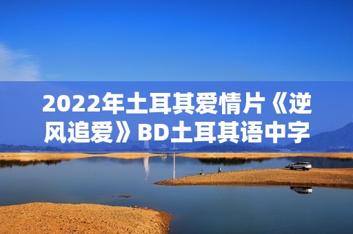 2022年土耳其爱情片《逆风追爱》BD土耳其语中字