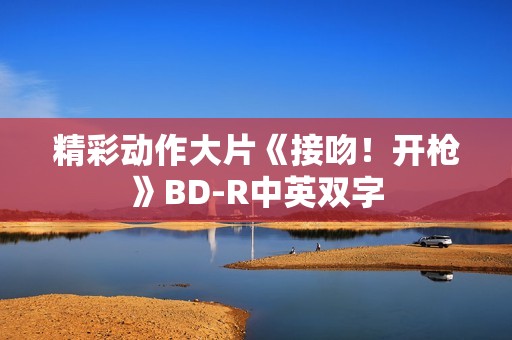 精彩动作大片《接吻！开枪》BD-R中英双字