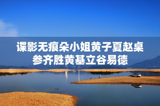 谍影无痕朵小姐黄子夏赵桌参齐胜黄基立谷易德