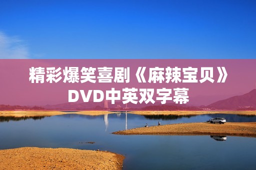 精彩爆笑喜剧《麻辣宝贝》DVD中英双字幕