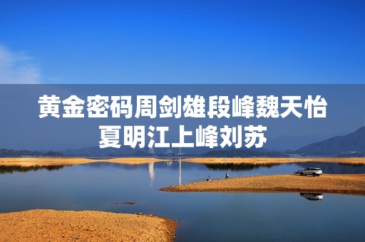 黄金密码周剑雄段峰魏天怡夏明江上峰刘苏