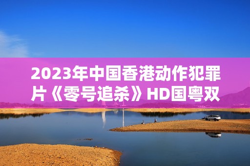 2023年中国香港动作犯罪片《零号追杀》HD国粤双语中字