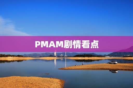 PMAM剧情看点