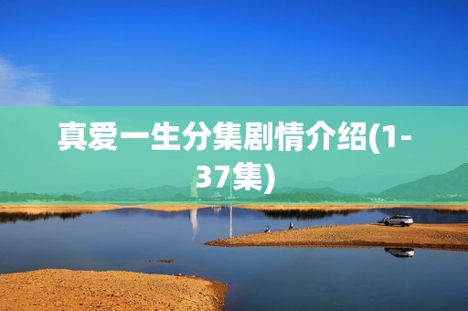 真爱一生分集剧情介绍(1-37集)