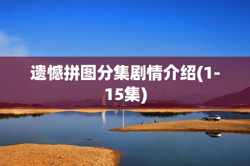 遗憾拼图分集剧情介绍(1-15集)