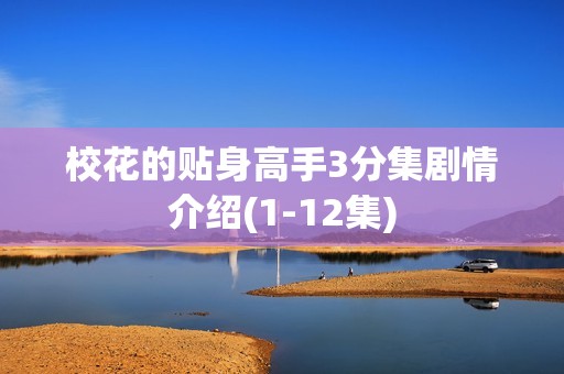 校花的贴身高手3分集剧情介绍(1-12集)